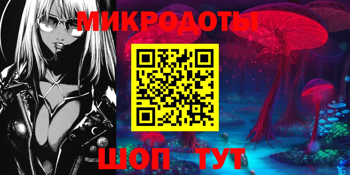 Галлюциногенные грибы Psilocybine cubensis Волгоград