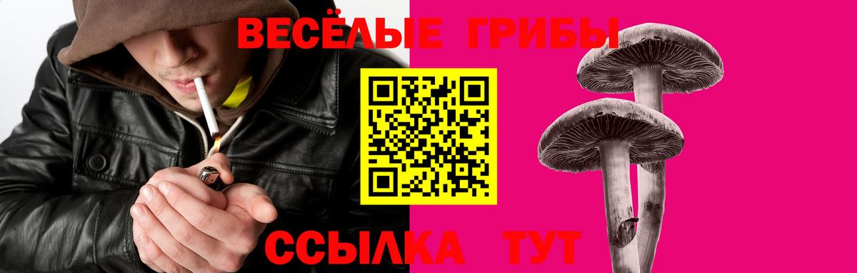 Волгоград  Галлюциногенные грибы мицелий  Вход с VPN 