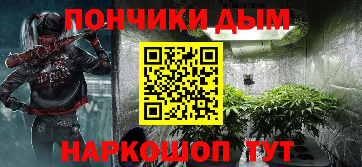 Бошки марихуана конопля Волгоград